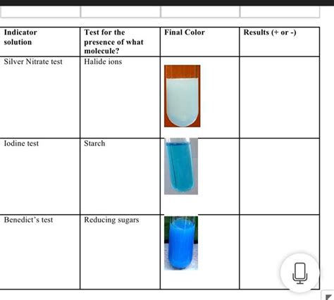 silver nitrate test results.